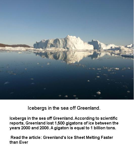 Icebergs in the Sea