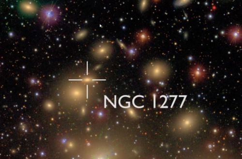 Galaxy NGC 1277